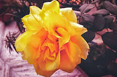 西安治疗鼻窦炎,西安中大耳鼻喉医院